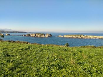 Scenic view of sea against clear sky