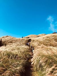 People walking on field against blue sky