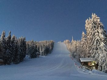 Snow covered trees against sky