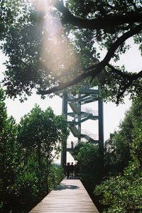 Trees by bridge against sky