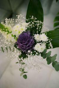 High angle view of purple flowering plant