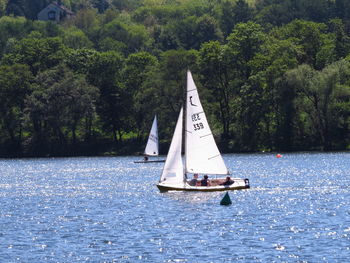 Friends sailing sailboat in lake