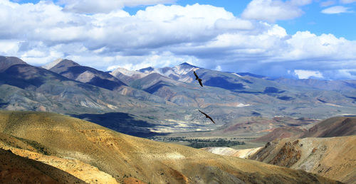 Two birds over a mountain range in southern altai in summer with beautiful clouds in the sky