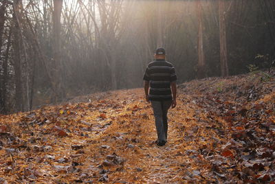 Rear view of man walking in forest during autumn