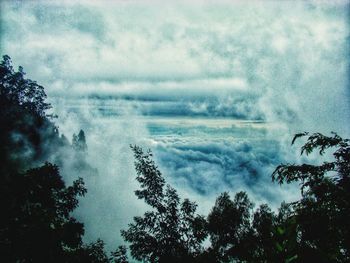 Low angle view of trees against sky