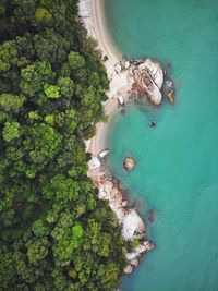 High angle view of sea shore