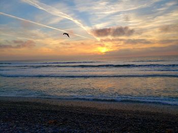 Seagull flying off into the sunset to escape the beach