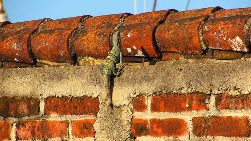 Low angle view of brick wall