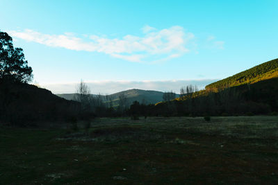 Scenic view of field against sky