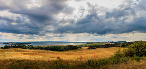 Scenic view of field against sky