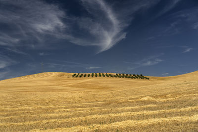 Hay bales on field against sky