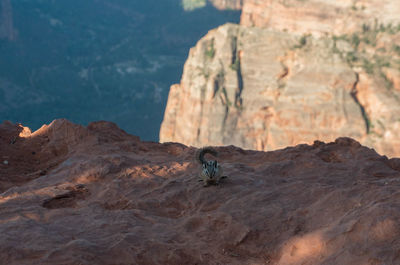Rock formations on mountain