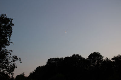 Low angle view of silhouette trees against clear sky at night