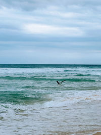sea