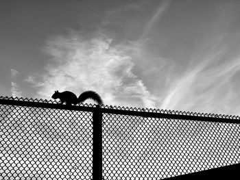 Low angle view of silhouette fence against sky