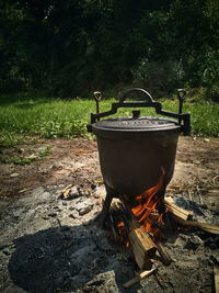 Close-up of fire on log in field