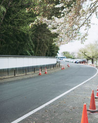 Cars on road against trees in city