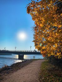 Autumn trees by plants against sky