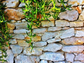 Close-up of stone wall