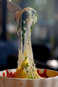 Close-up of mushrooms in bowl on table