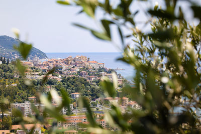 Tilt-shift image of trees and buildings in city against sky