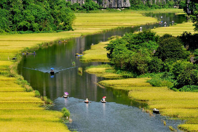 High angle view of people in pond