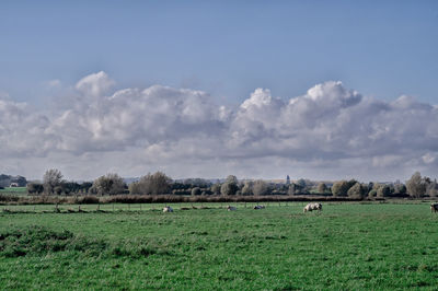 Scenic view of farm against sky