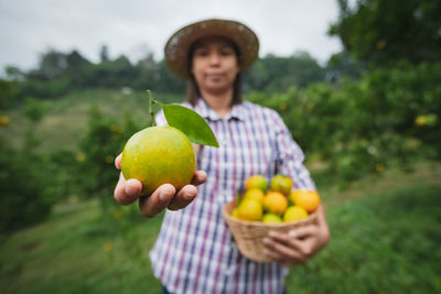 Man holding apple while standing in field