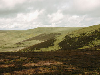 Rolling hills in scottish countryside