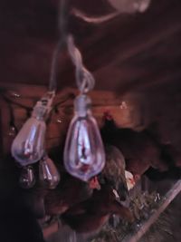 Close-up of light bulbs in jar