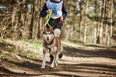 Rear view of dog running in forest