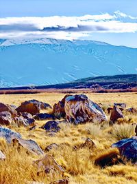 Scenic view of landscape against sky