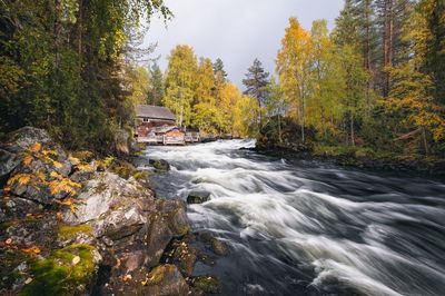 Stream flowing through rocks in forest during autumn