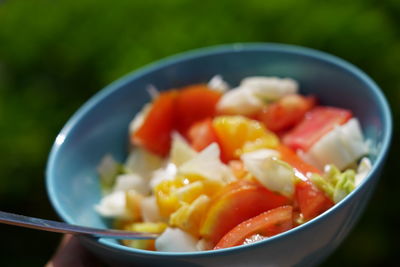 Close-up of fruit salad in bowl