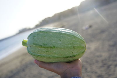 Close-up of hand holding fruit