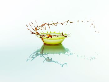 Close-up of fruit over white background