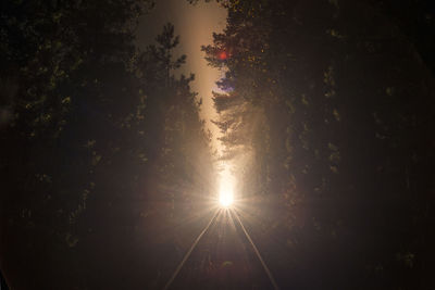 Low angle view of sunlight streaming through silhouette trees