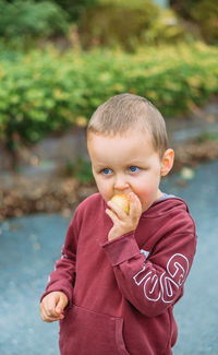 Portrait of cute baby boy eating apple