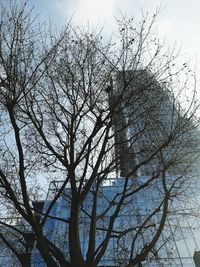 Low angle view of bare tree against clear sky