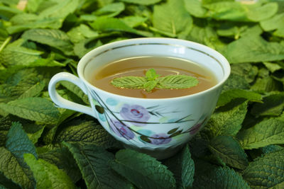 Close-up of mint leaves in green tea