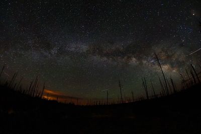 Low angle view of stars against sky at night