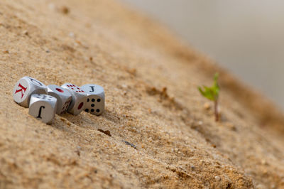 Close-up of small shoes on sand