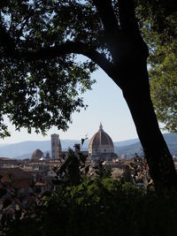 Trees and buildings against sky