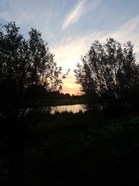 Silhouette trees by lake against sky during sunset