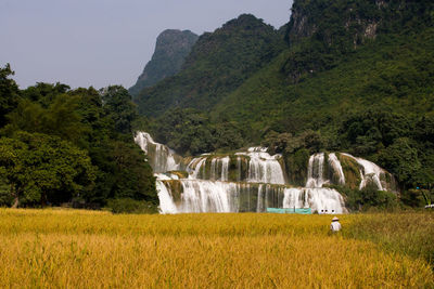 Scenic view of waterfall on field against sky