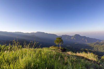 Scenic view of landscape against clear sky