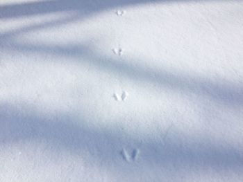 High angle view of footprints on snow