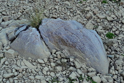 Close-up of pebbles on beach