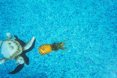 Directly above shot of pineapple floating in swimming pool against green turtle