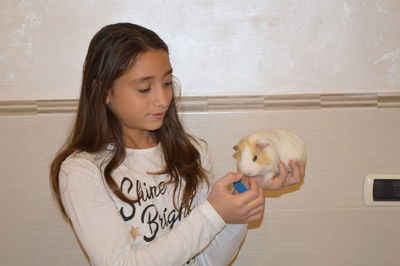 Girl holding hamster at home